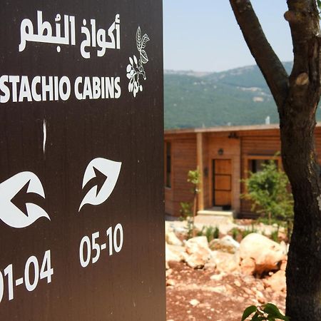 Ajloun Forest Reserve ジャラシュ エクステリア 写真