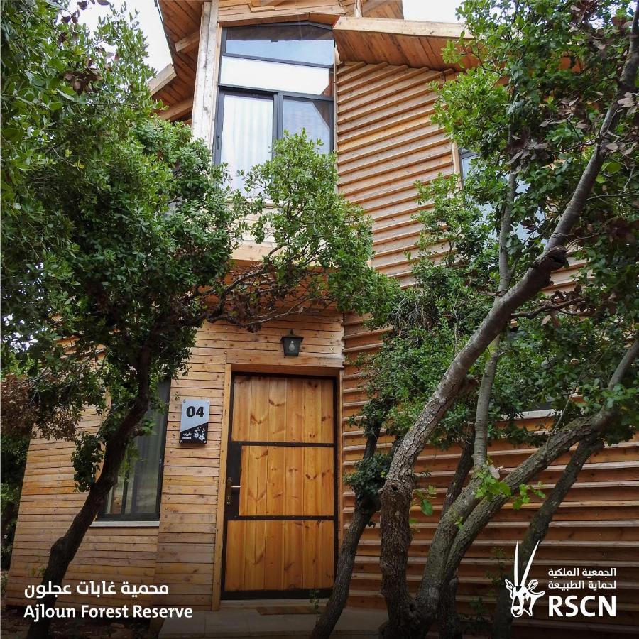 Ajloun Forest Reserve ジャラシュ エクステリア 写真