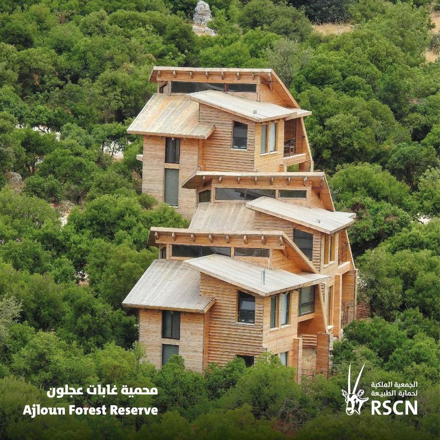 Ajloun Forest Reserve ジャラシュ エクステリア 写真