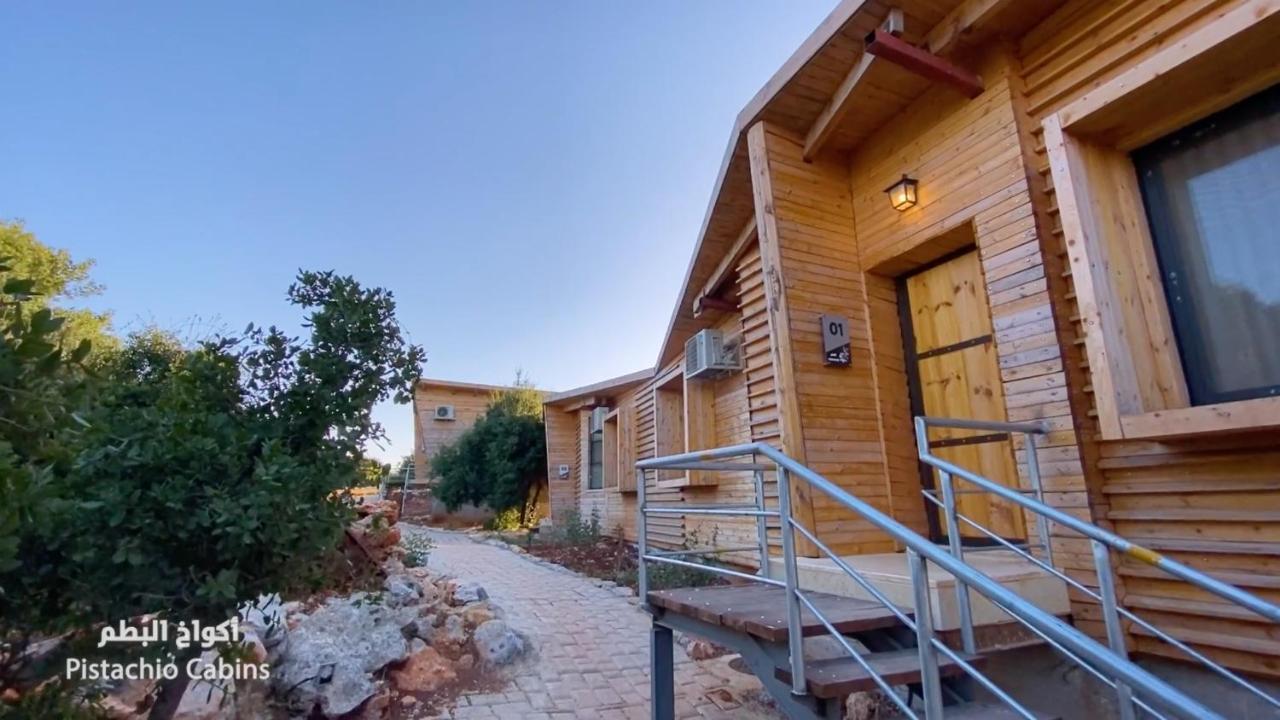 Ajloun Forest Reserve ジャラシュ エクステリア 写真