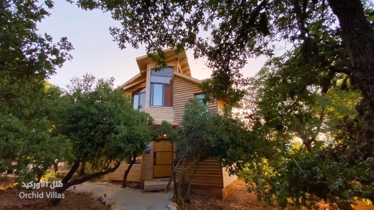 Ajloun Forest Reserve ジャラシュ エクステリア 写真