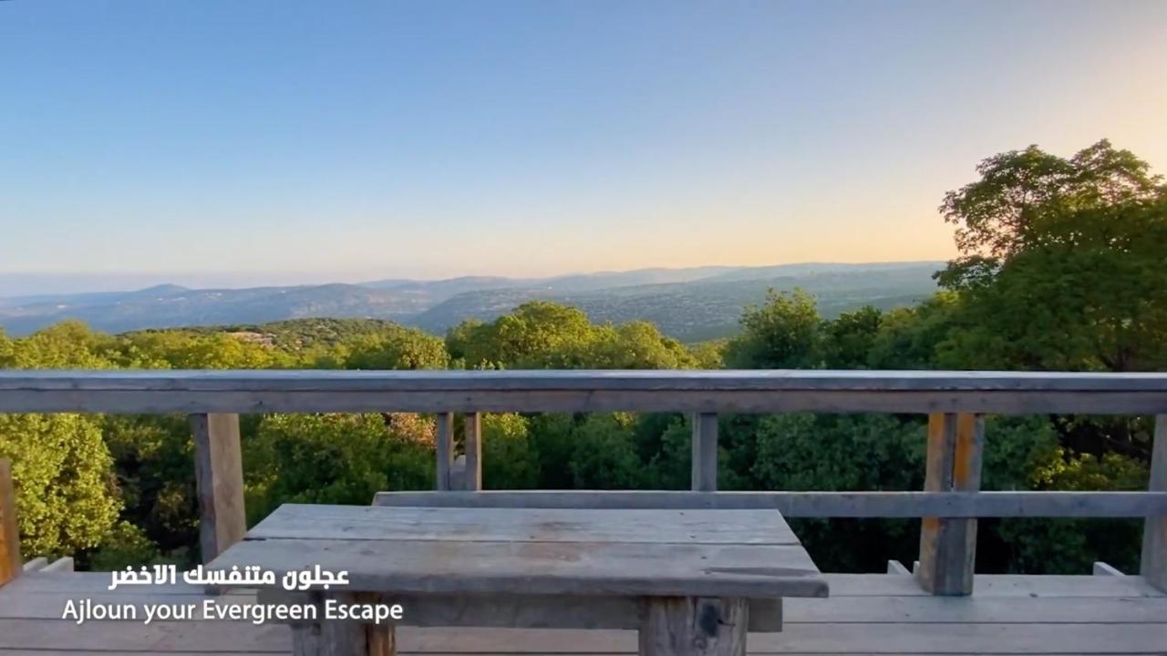 Ajloun Forest Reserve ジャラシュ エクステリア 写真