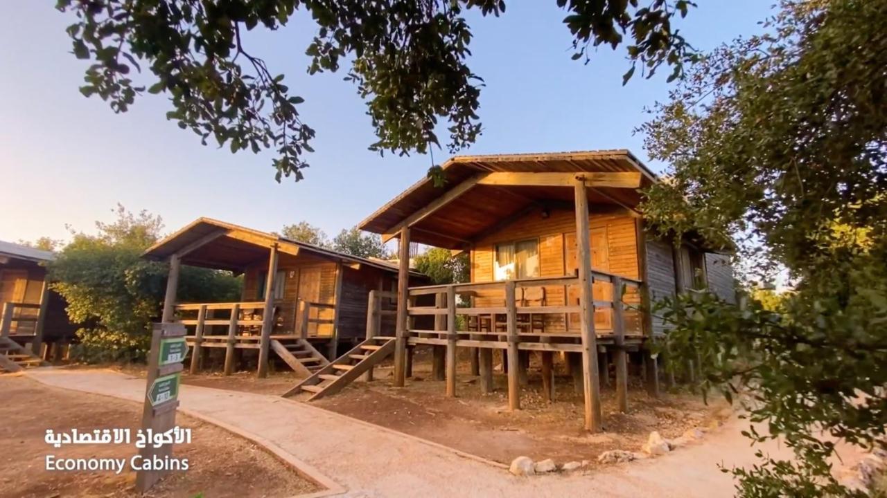 Ajloun Forest Reserve ジャラシュ エクステリア 写真