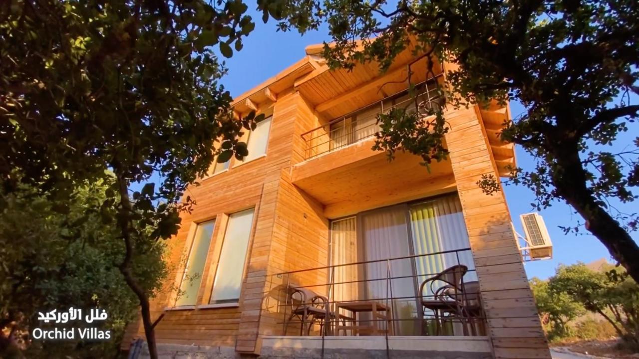 Ajloun Forest Reserve ジャラシュ エクステリア 写真