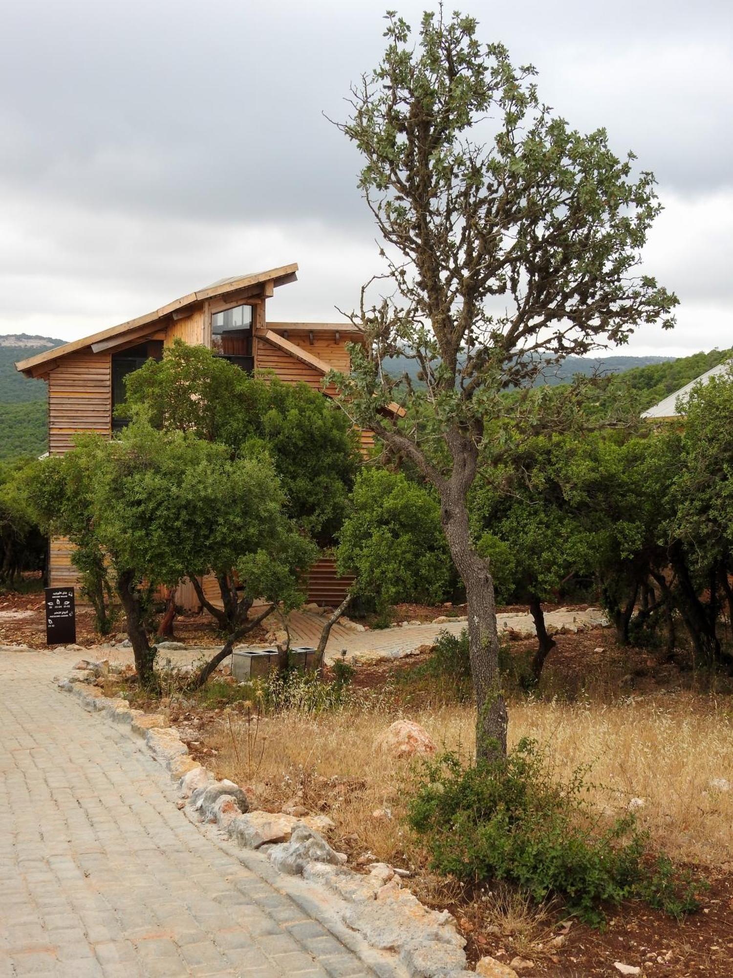 Ajloun Forest Reserve ジャラシュ エクステリア 写真