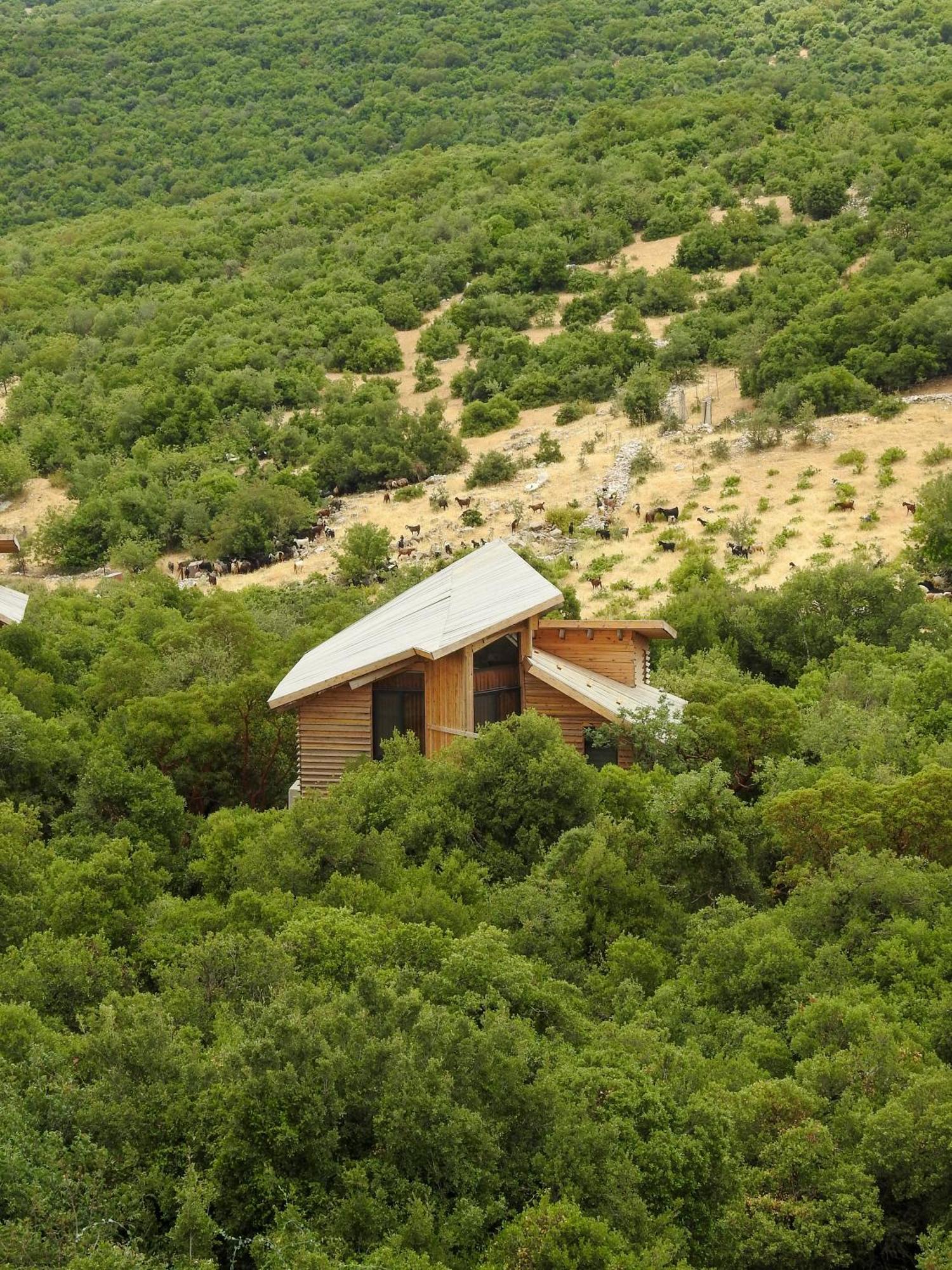 Ajloun Forest Reserve ジャラシュ エクステリア 写真