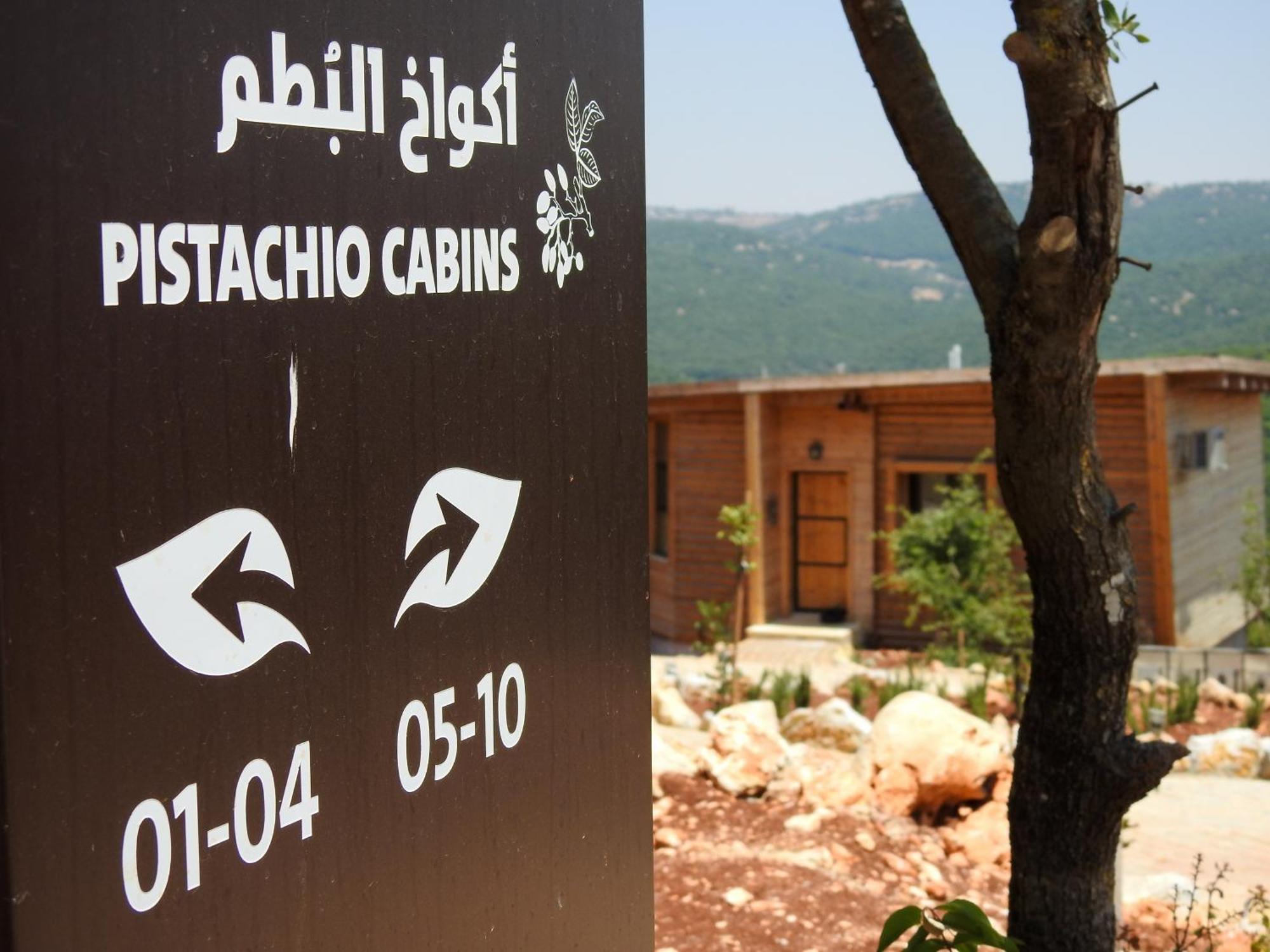 Ajloun Forest Reserve ジャラシュ エクステリア 写真