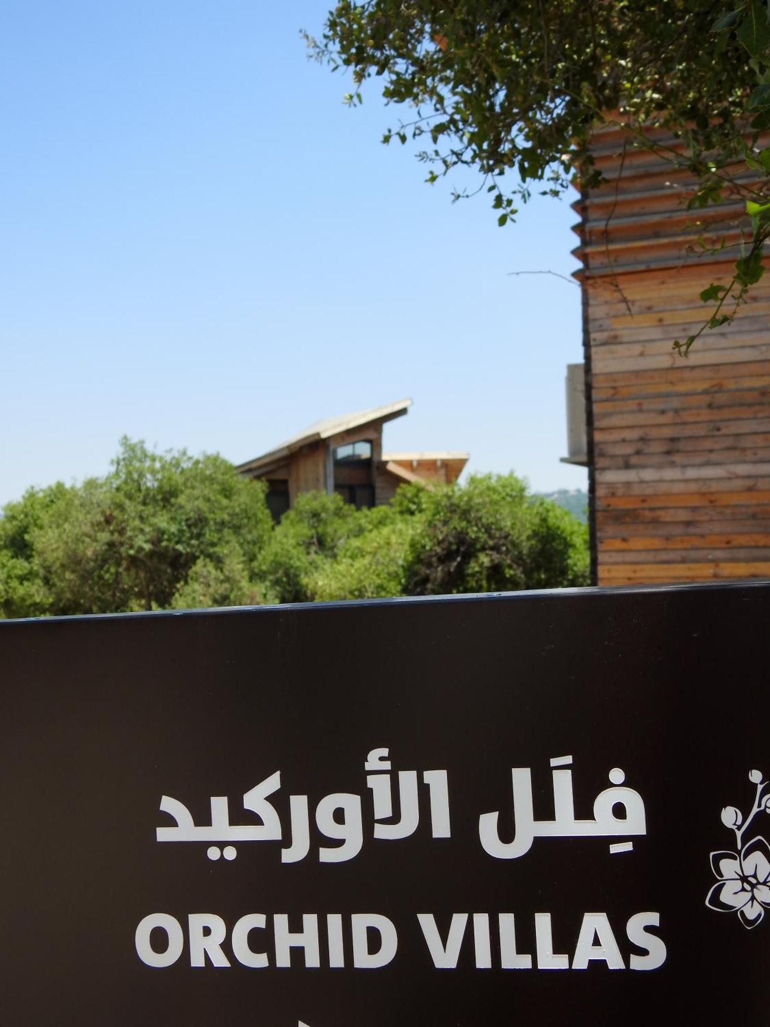 Ajloun Forest Reserve ジャラシュ エクステリア 写真