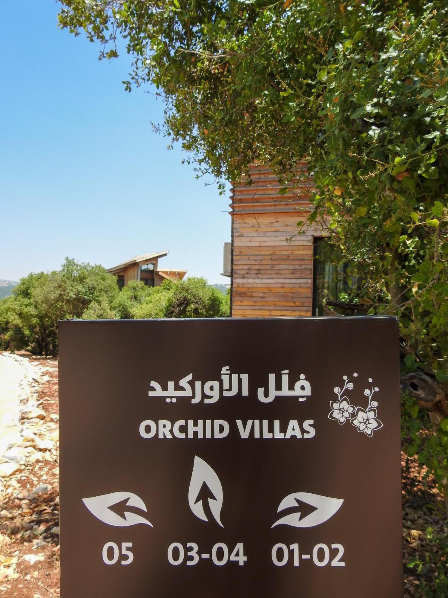 Ajloun Forest Reserve ジャラシュ エクステリア 写真