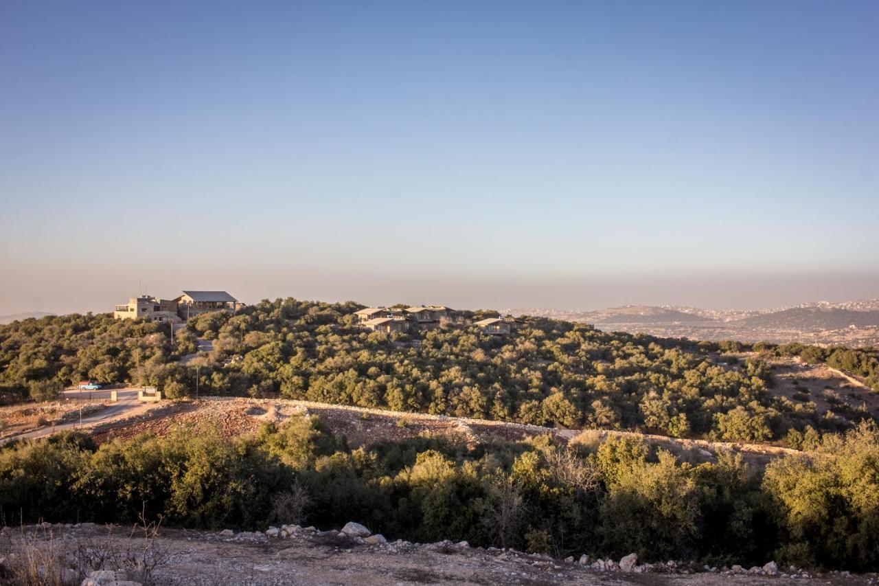 Ajloun Forest Reserve ジャラシュ エクステリア 写真