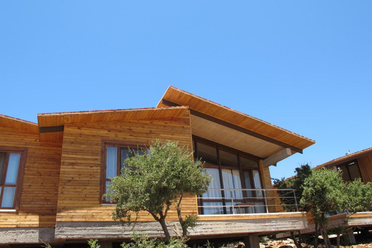 Ajloun Forest Reserve ジャラシュ エクステリア 写真