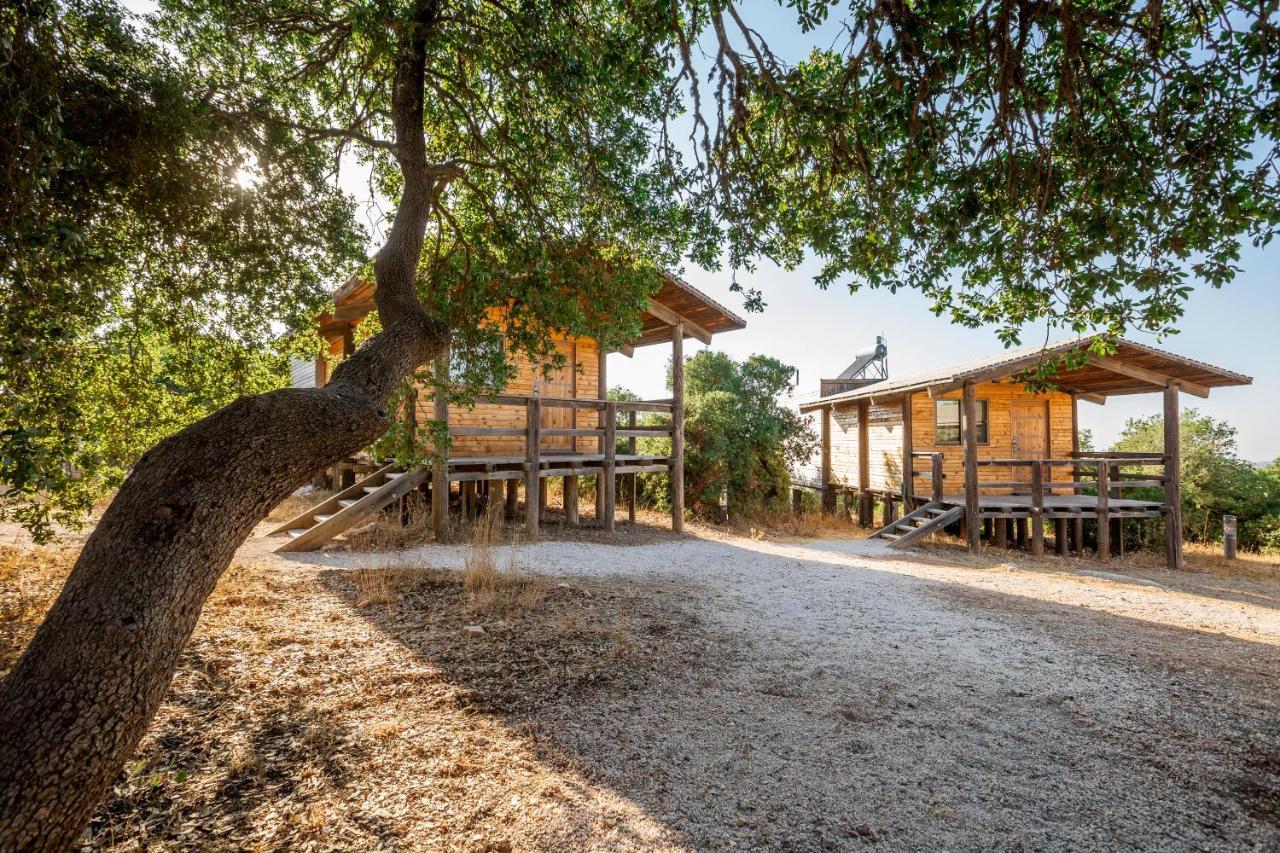 Ajloun Forest Reserve ジャラシュ エクステリア 写真