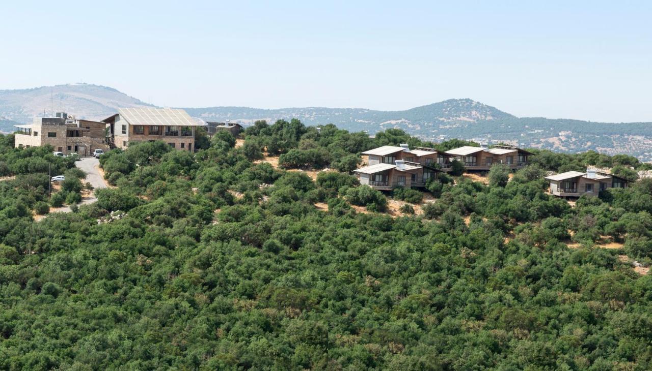 Ajloun Forest Reserve ジャラシュ エクステリア 写真